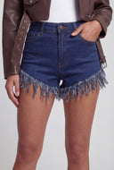 High Waist Denim Cutoff Shorts