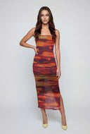Delilah Printed Mesh Tube Dress