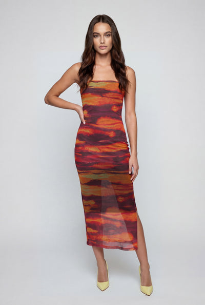 Delilah Printed Mesh Tube Dress