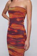 Delilah Printed Mesh Tube Dress