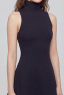 Pintuck Mock Neck Skater Dress
