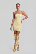 Shelf Bra Tube Mini Dress