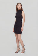 Alena Mock Neck Sleeveless Mini Dress