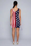 Americana Knit Mini Dress