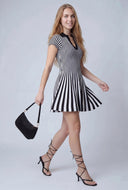 Azariah Striped Polo Skater Dress