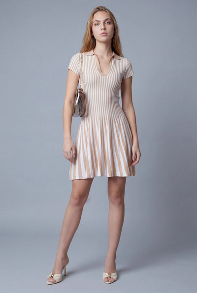 Azariah Striped Polo Skater Dress
