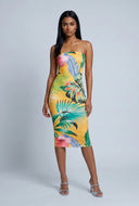 Alaiya Tropical Tube Dress