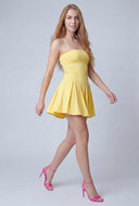 Strapless Skater Dress