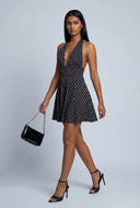 Antonella Polka Dot Skater Dress