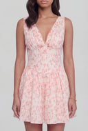 Ditsy Floral Corset Bodice Mini Dress