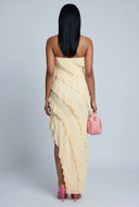 Skyler Ruffle Maxi Tube Dress