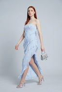 Skyler Ruffle Maxi Tube Dress