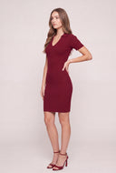 Polo Mini Dress