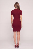 Polo Mini Dress