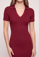 Polo Mini Dress