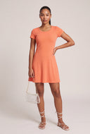 Short Sleeve Mini Dress