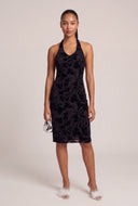 Velvet Burnout Halter Dress