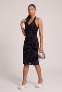Velvet Burnout Halter Dress
