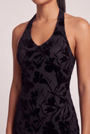 Velvet Burnout Halter Dress