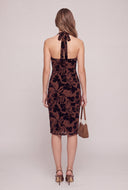 Velvet Burnout Halter Dress