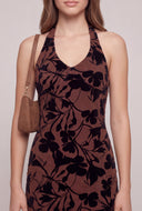 Velvet Burnout Halter Dress