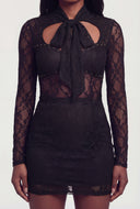 Lace Tie Neck Bodycon Mini Dress