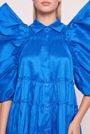 Puff Sleeve Tiered Dress