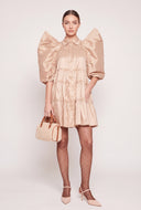 Puff Sleeve Tiered Dress