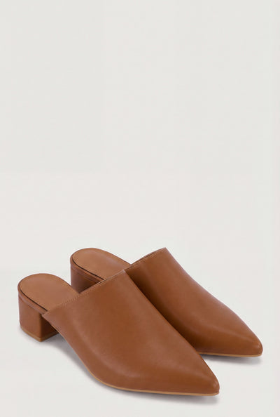 Pointed Toe Low Heel Mules