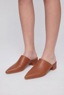 Pointed Toe Low Heel Mules