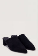Pointed Toe Low Heel Mules