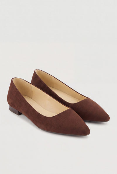 Pointed Toe Flats