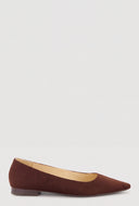 Pointed Toe Flats