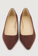 Pointed Toe Flats