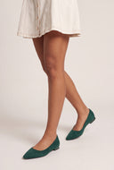 Pointed Toe Flats