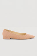 Pointed Toe Flats