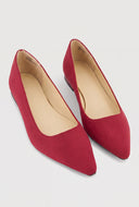Pointed Toe Flats