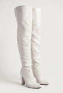 Londyn Pointed Toe Block Heel Thigh-High Boots