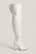 Londyn Pointed Toe Block Heel Thigh-High Boots