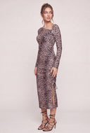 Leopard Print Asymmetrical Dress