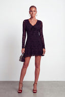 Adele Velvet Burnout Detail Mesh Skater Dress