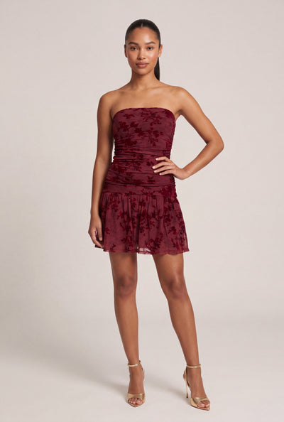 Floral Velvet Burnout Mini Dress