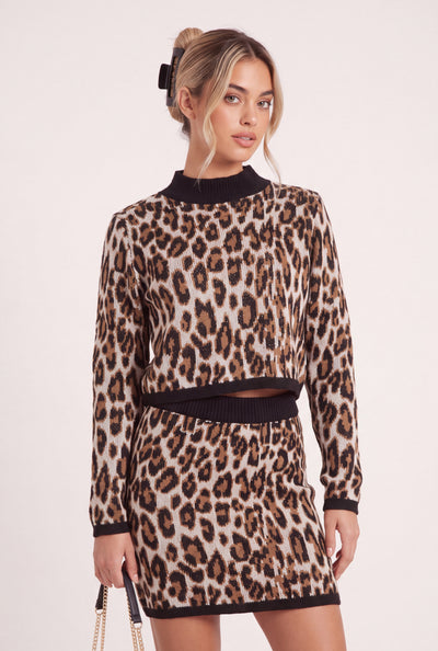 Leopard Print Crop Sweater