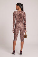 Leopard Mesh Long Sleeve Top